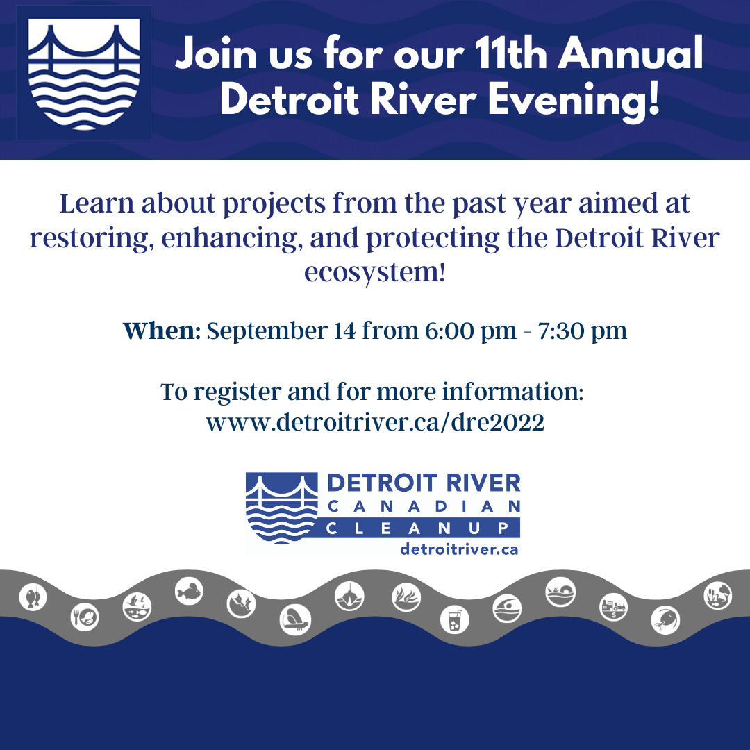 Detroit River Evening