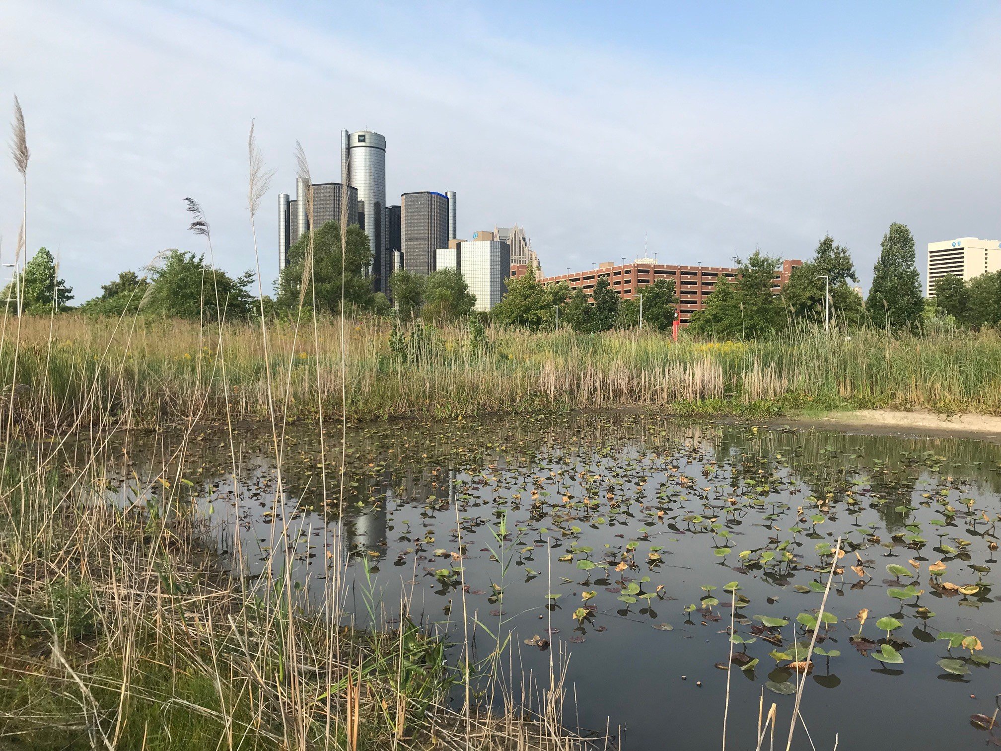 Detroit Riverfront Clean-up